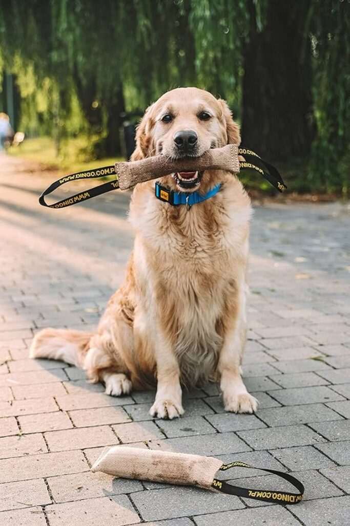 Play Makes Me Healthier
