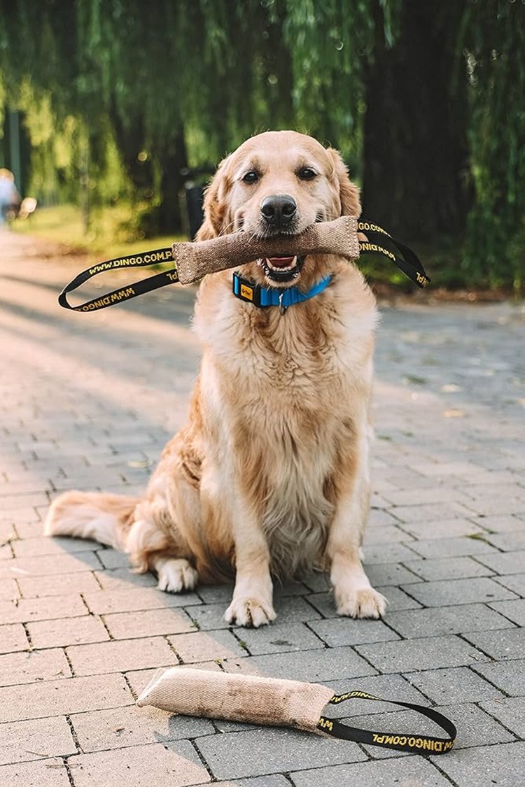Play Makes Me Healthier